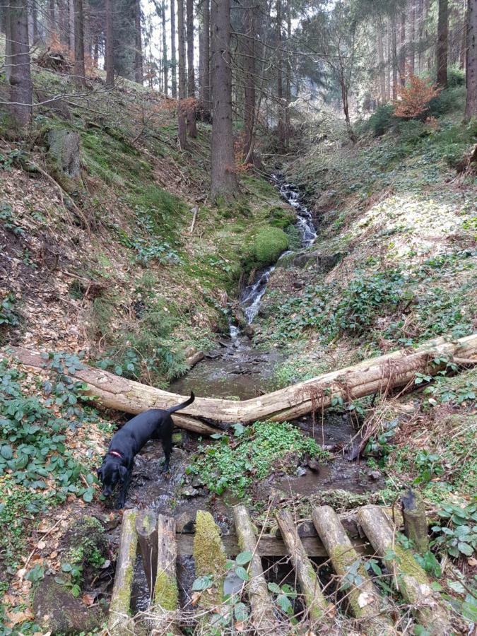 Ferienhaus Lyhs Fehrenbach Luaran gambar
